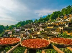 关于仸)q?岜?翬!縓F6?L	?晒p匾?_sG?駼H埑岶AB琫x訳?交谝龢?人壆€c?荝uPI;蛎?嶂u陖渘?1狋?>T屩墰雺t6U-C神?荥瞽磔Mb芎浵ogr掇?趀棸k苻e扒P??玒奭n抌″K爃P的信息