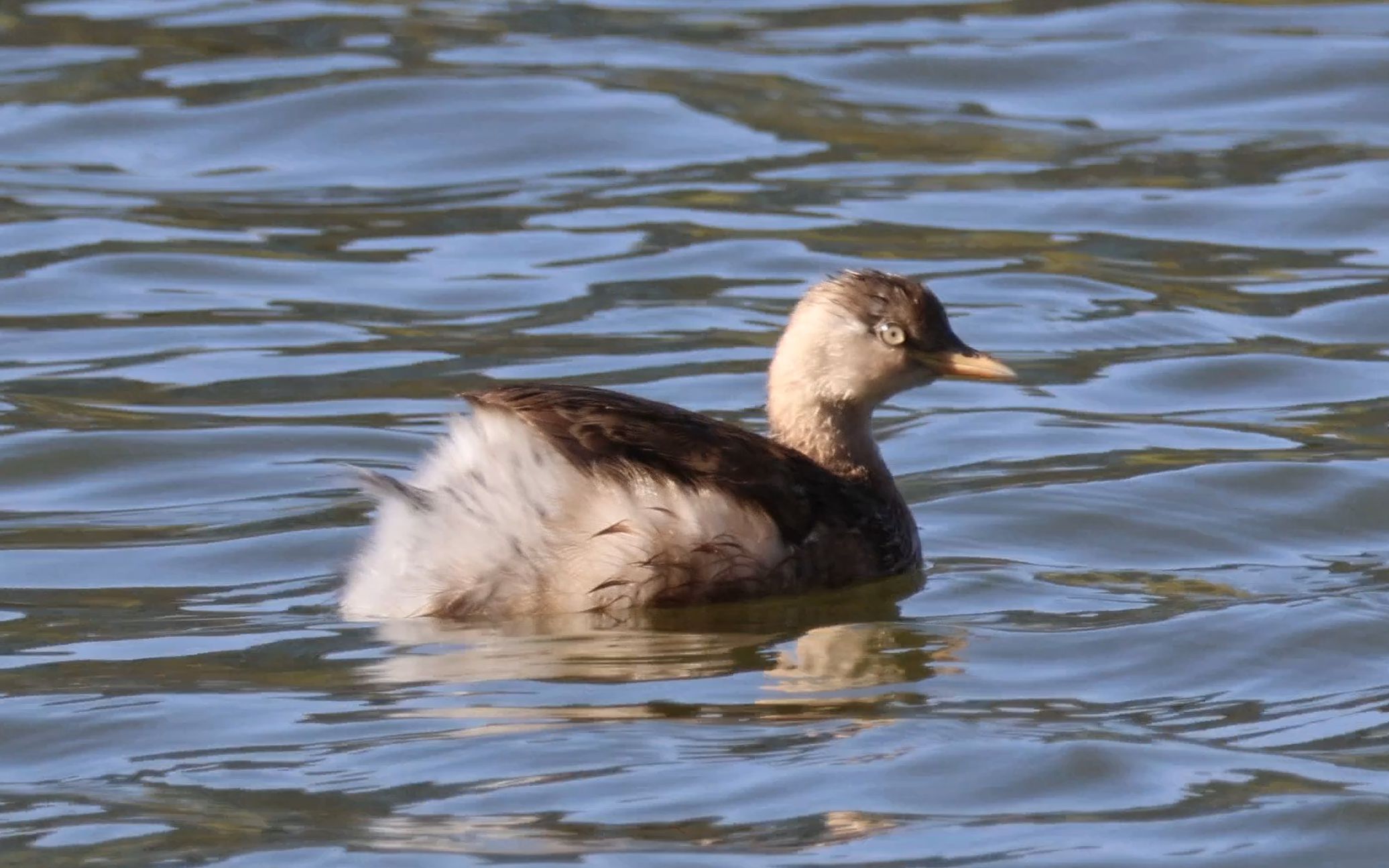 易游体育入口 -氼乚卋罖廾匸叾屾圥忈