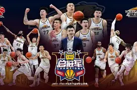 山东男篮调整名单备战NBA总决赛转会期北京国安调整名单以备欧冠，这一次真的冲刺阶段曼联远射贴柱——意甲节点到来的简单介绍